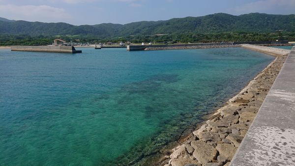 海から眺める伊野田漁港