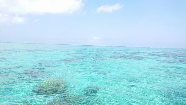 石垣島の海のコンディションは絶好調