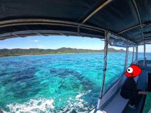 グラスボートで石垣島の水中世界を満喫！